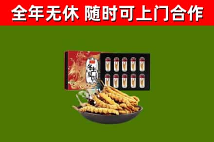 屯留回收冬虫夏草价格